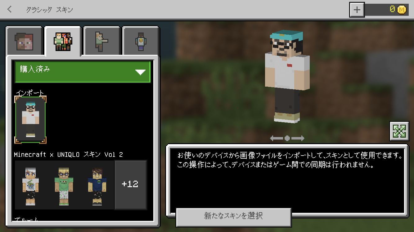Cover for How to import skins in Bedrock edition